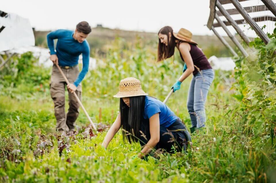TÌM HIỂU VỀ ĐIỀU KIỆN VISA 600 ÚC CÓ ĐI LÀM VIỆC ĐƯỢC KHÔNG VÀ THỜI HẠN BAO LÂU