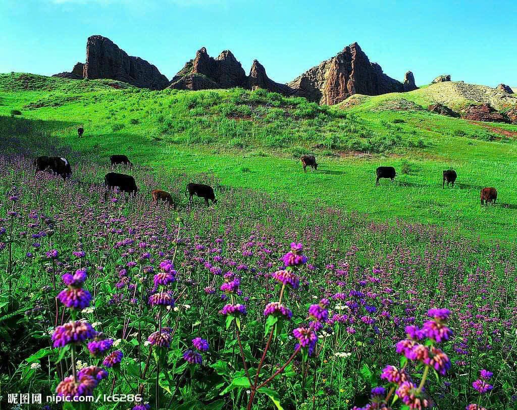 NHỮNG ĐỊA ĐIỂM DU LỊCH  ĐẸP NHẤT TÂN CƯƠNG