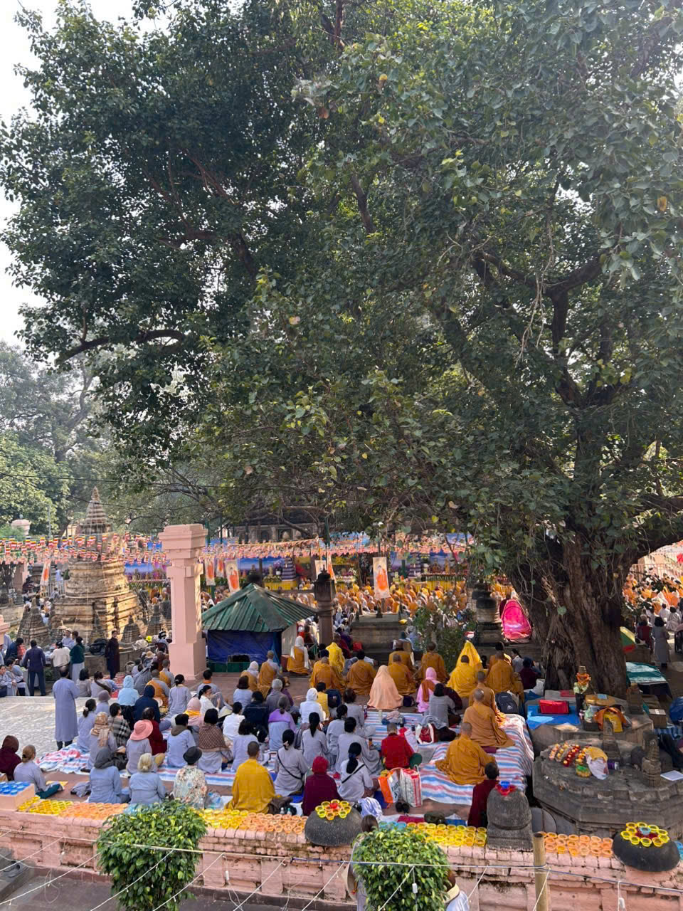 HÀNH HƯƠNG ĐẤT PHẬT LINH THIÊNG 2026 THỰC HÀNH KHÓA TU VÀ CHIÊM BÁI TỨ THÁNH TÍCH TOUR 10 NGÀY 10 ĐÊM KHỞI HÀNH TỪ HÀ NỘI VÀ TP HỒ CHÍ MINH 