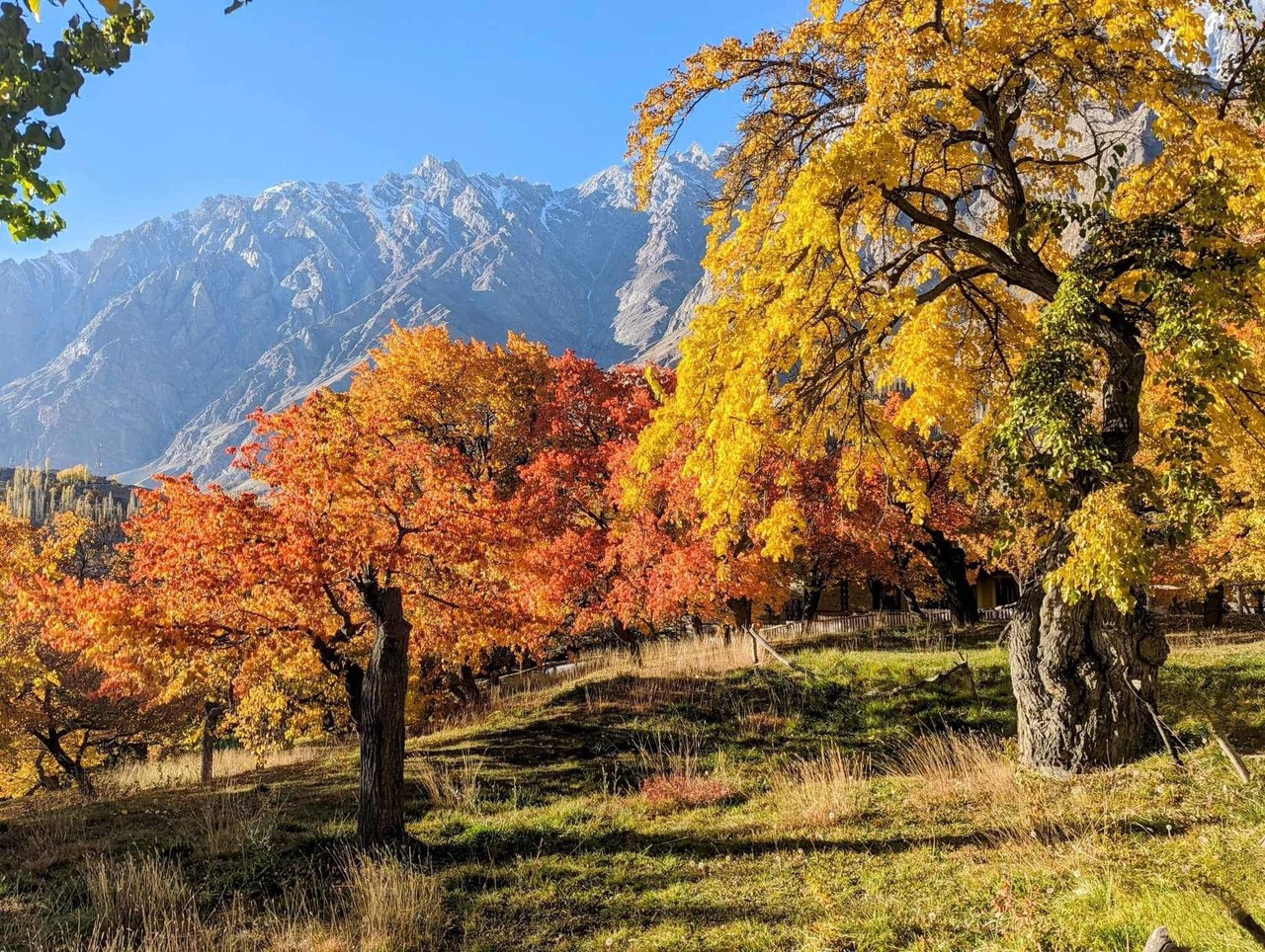 TOUR DU LỊCH PAKISTAN MÙA THU TỪ HÀ NỘI SÀI GÒN - KHI THUNG LŨNG HUNZA KHOÁC ÀO VÀNG  