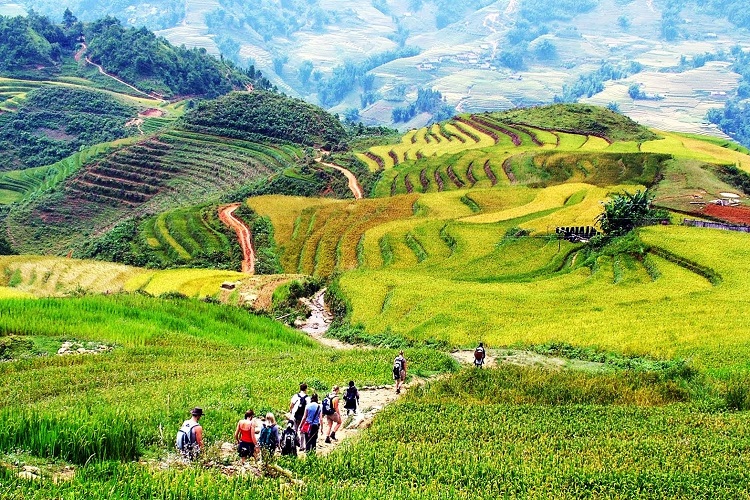 DU LỊCH TÂY BẮC TOUR ĐẶC SẮC HÀ NỘI – NGHĨA LỘ - TRẠM TẤU – TÚ LỆ  MÙ CANG CHẢI 3 NGÀY 2 ĐÊM TRỌN GÓI GIÁ RẺ KHÁM PHÁ MÙA NƯỚC ĐỔ TỚI MÙA LÚA CHÍN HAY MÙA HOA RỪNG BẠT NGÀN 