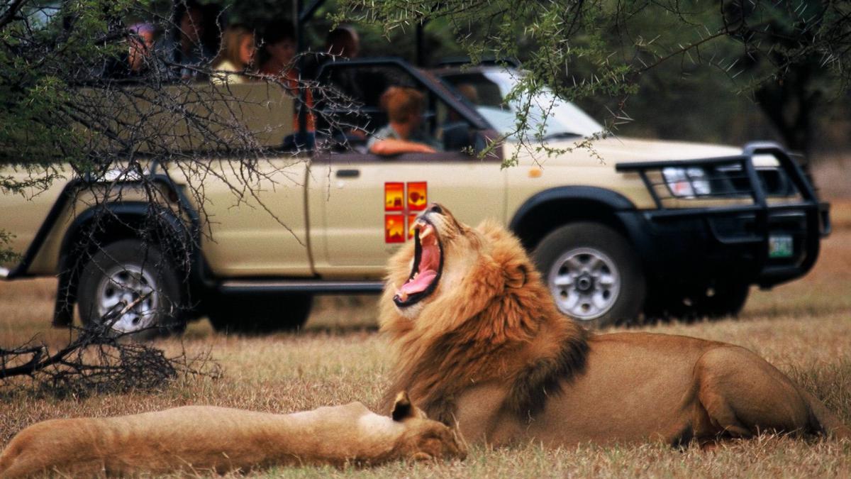 TOUR DU LỊCH NAM PHI GIÁ RẺ TỪ HÀ NỘI -TP HCM – THƯỞNG NGOẠN MÙA PHƯỢNG TÍM