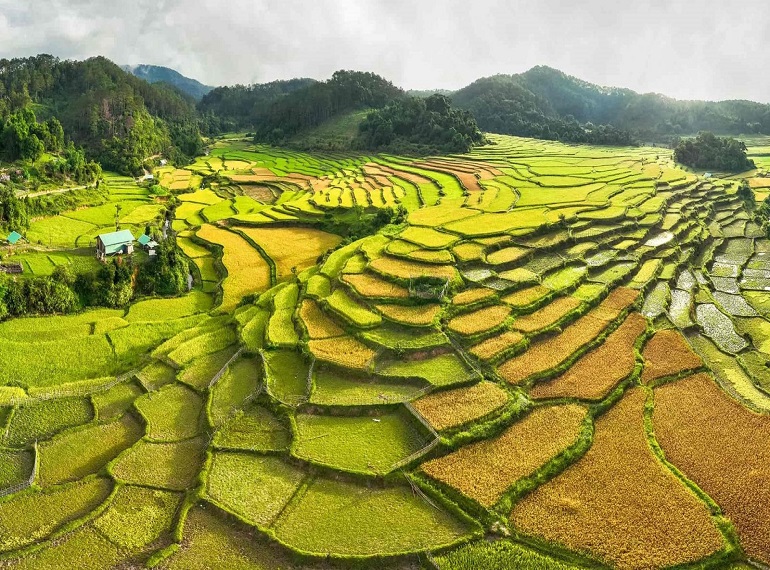 TIẾNG GỌI ĐẠI NGÀN TÂY NGUYÊN KHỞI HÀNH TỪ HÀ NỘI – ĐÀ LẠT – BUÔN MÊ THUỘT HỒ LAK BUÔN ĐÔN BẢO TÀNG CAFE TRUNG NGUYÊN TOUR 5 NGÀY 4 ĐÊM ĐẶC SẮC NGẮM MÙA HOA CAFE KHI CHỚM HÈ 